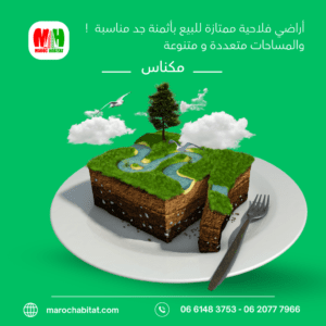 LAND3